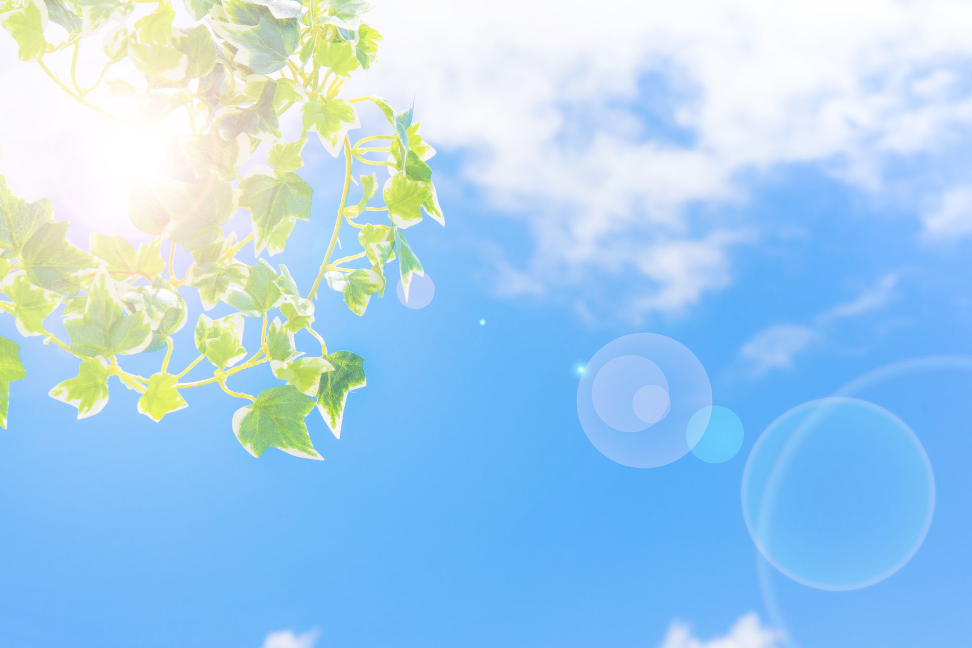 サンプルテキスト